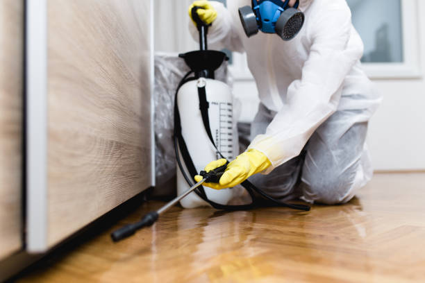 Best Pest Prevention Services  in Hillsdale, NJ