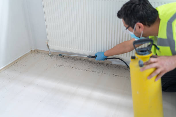 Best Bed Bug Extermination  in Hillsdale, NJ